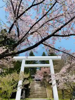 土津神社|こどもと出世の神さまの鳥居