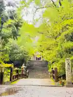 国造神社(熊本県)