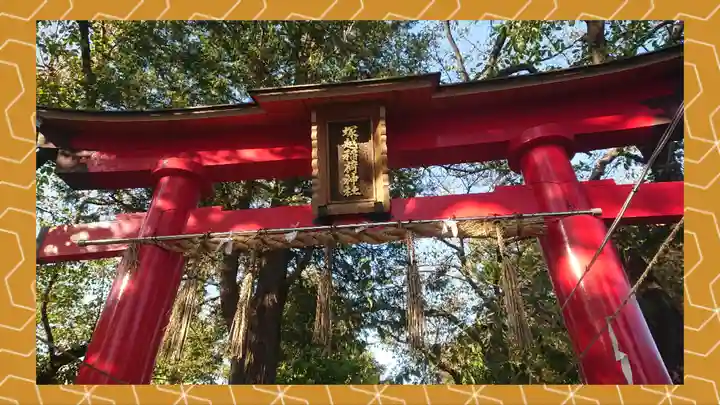 塚越稲荷神社(埼玉県)