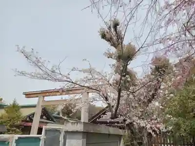 和泉國一之宮　大鳥大社(大阪府)