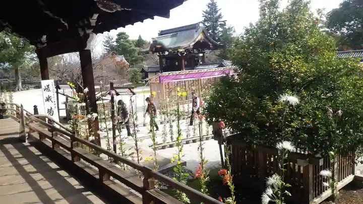 大覚寺(京都府)