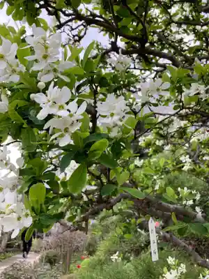 大巧寺(神奈川県)