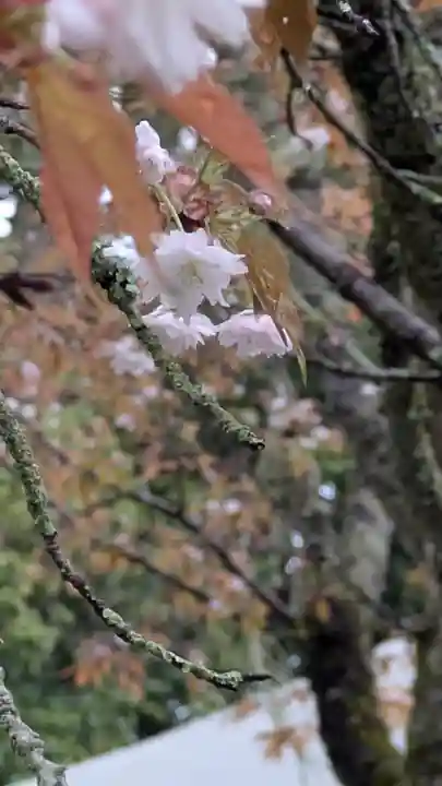 石山寺(滋賀県)