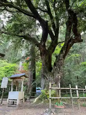 小國神社(静岡県)