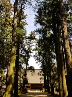 飯高寺のその他建物