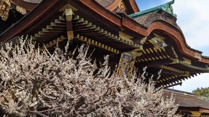 北野天満宮(京都府)