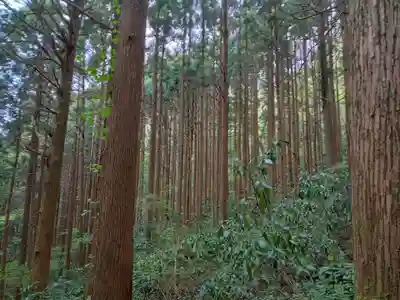加波山三枝祇神社親宮拝殿(茨城県)