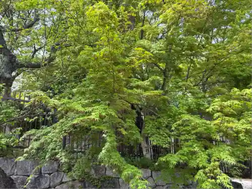 北野天満宮(京都府)