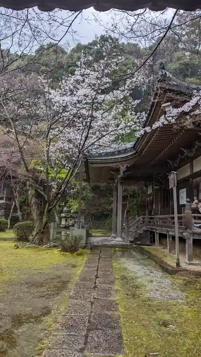 勝持寺(花の寺)(京都府)