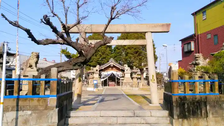 池鯉鮒社の鳥居