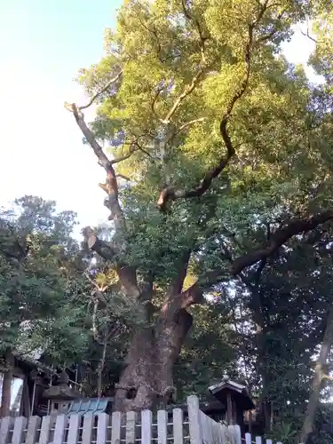 七所神社の自然