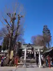 川越八幡宮(埼玉県)