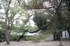 和歌山縣護國神社(和歌山県)