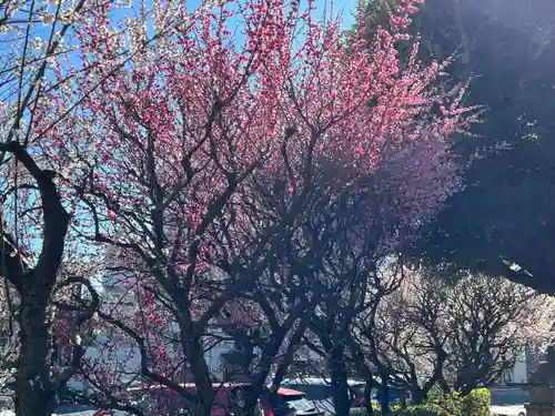 新井天神北野神社(東京都)