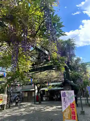 國領神社(東京都)