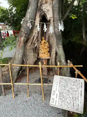 秩父今宮神社の{uncategorized: "未分類", other: "その他", undefined: "問題あり", building: "その他建物", grave: "お墓", sacred_gate: "鳥居", guardian: "狛犬", statue: "像", buddha: "仏像", history: "歴史", nature: "自然", garden: "庭園", animal: "動物", pagoda: "塔", temizu: "手水舎", mountain_gate: "山門・神門", sanctuary: "本殿・本堂", subordinate: "末社・摂社", art: "芸術", scenery: "景色", jizo: "地蔵", ema: "絵馬", goshuin: "御朱印", omikuji: "おみくじ", items: "授与品その他", amulet: "お守り", goshuincho: "御朱印帳", eats: "食事", festival: "お祭り", votive_dance: "神楽", shichigosan: "七五三参", wedding: "結婚式", experience: "体験その他", initially: "初詣", around: "周辺", anti_infection: "感染症対策"}