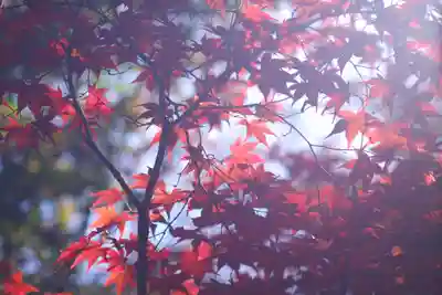 禅林寺(永観堂)(京都府)