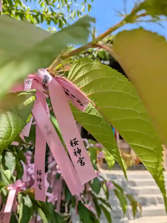 桜神宮(東京都)