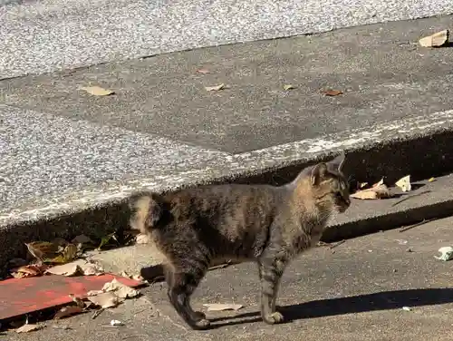対馬四十四番札所(長崎県)