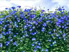 山家神社の自然