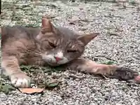 當麻山口神社(奈良県)