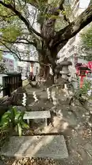 若一神社(京都府)