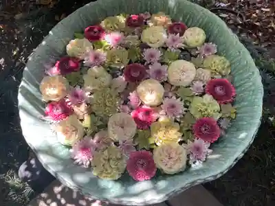 行田八幡神社の手水舎