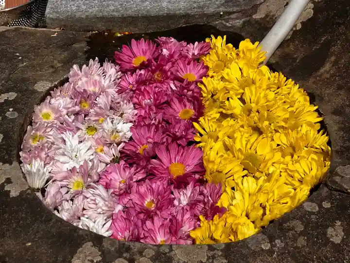 真言宗 善通寺派 薬王寺(香川県)