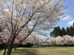 宮崎神社の自然