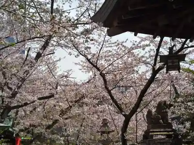 天孫神社(滋賀県)