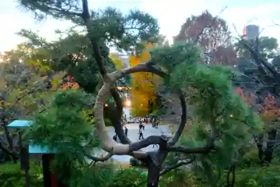 清水観音堂(東京都)