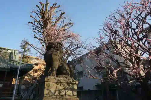 岩淵八雲神社の狛犬