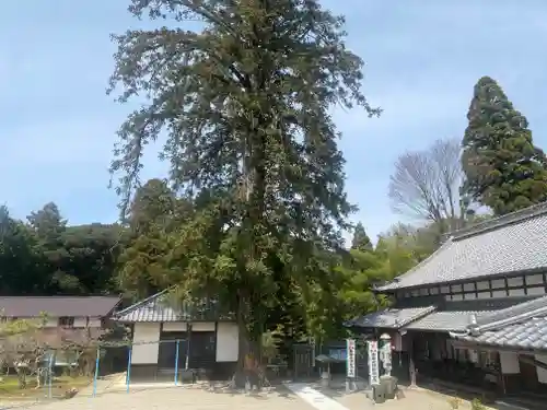 滝仙寺(三重県)