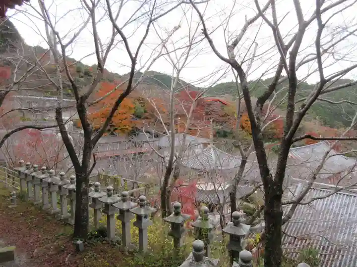 南法華寺(壷阪寺)(奈良県)