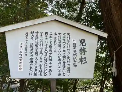 萩日吉神社(埼玉県)