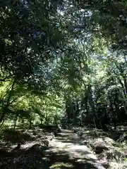 白水阿蘇神社の建物その他