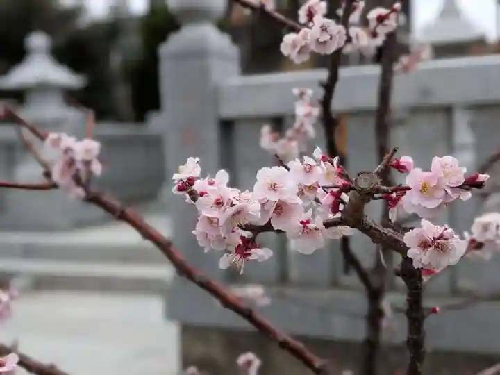 葛飾八幡宮(千葉県)