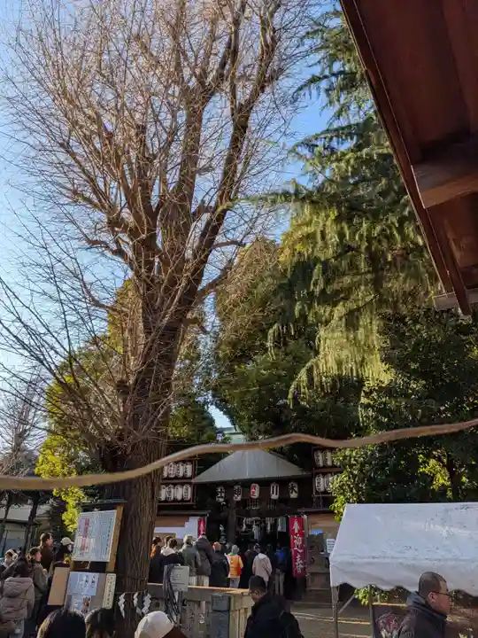 幡ケ谷氷川神社(東京都)