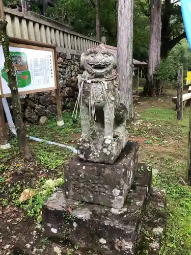 坂本八幡神社の狛犬