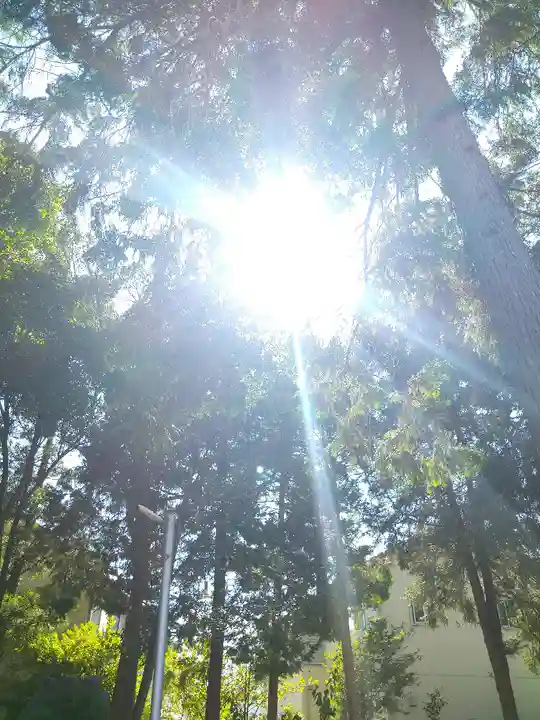 春日神社の自然