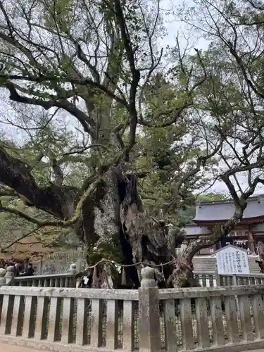 大山祇神社(愛媛県)