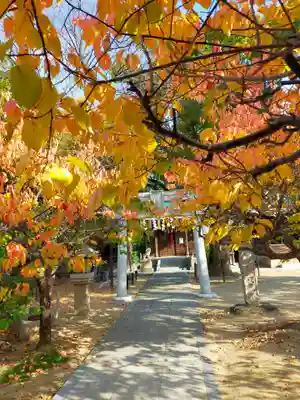 屯倉神社(大阪府)