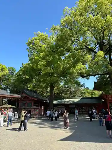 武蔵一宮氷川神社(埼玉県)