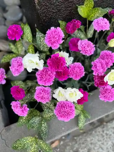 上尾御嶽神社の手水舎
