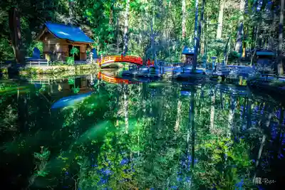 小國神社(静岡県)