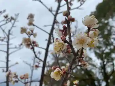 美奈宜神社(福岡県)