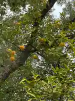 田蓑神社の自然