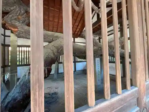 高砂神社の建物その他