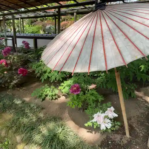 上野東照宮の周辺