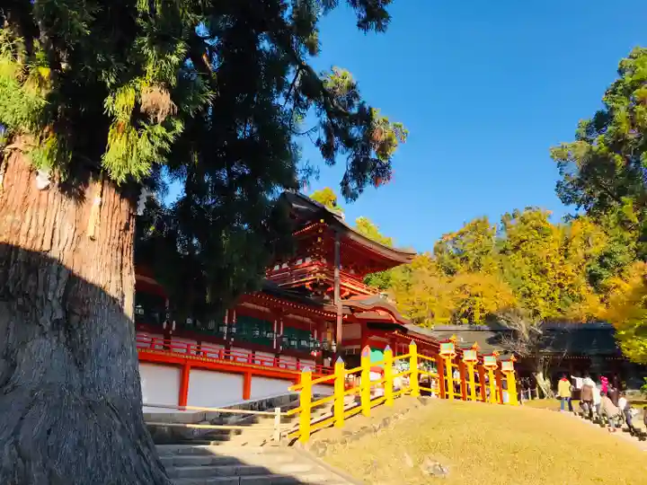 春日大社のその他建物